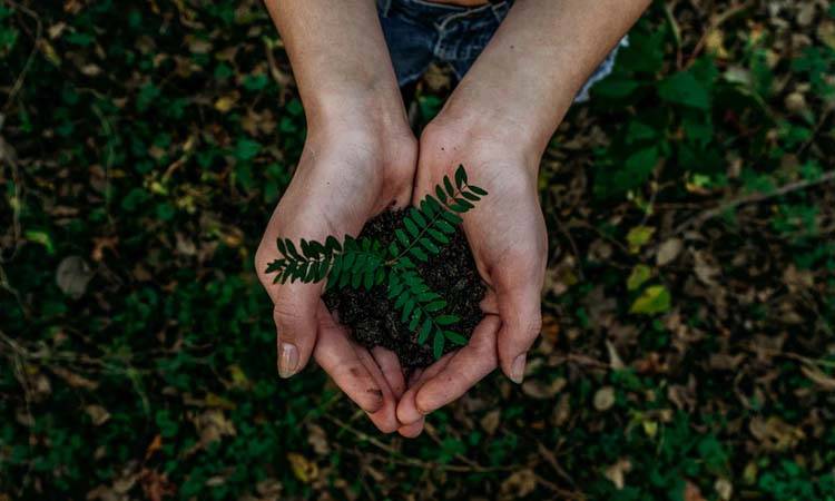 Eco-friendly dentistry: How patient awareness can improve