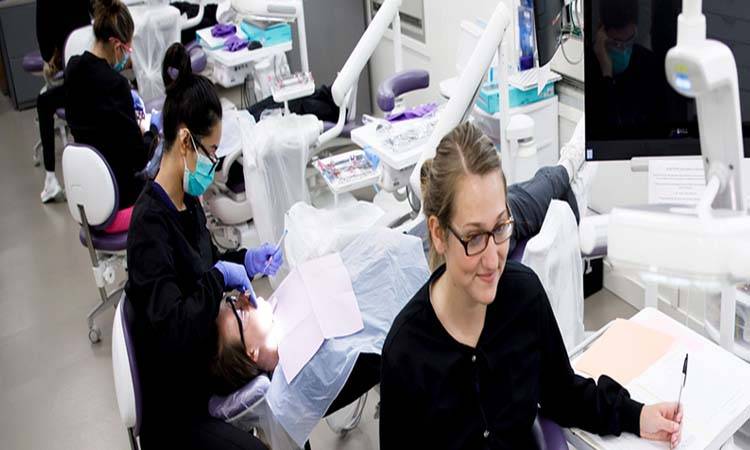 Things You Should Know Before Starting Dental School