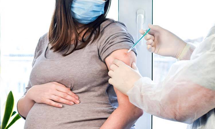 Studies find no link between COVID-19 vaccines and pregnancy loss