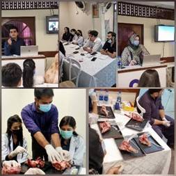 Royal Academy of Facial Aesthetic conducts sessions on Dental, Laser Implant