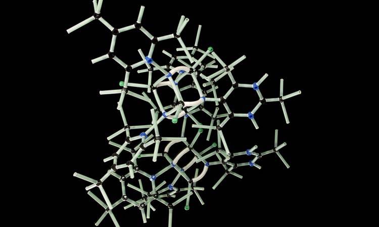 New antibacterial molecules striking antibiotic-resistant bacteria brought to light