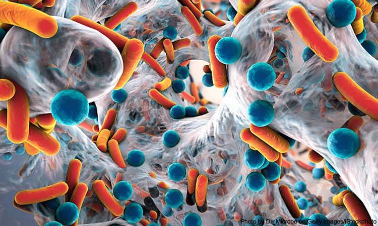 Antimicrobial resistance to become the biggest killer by 2050