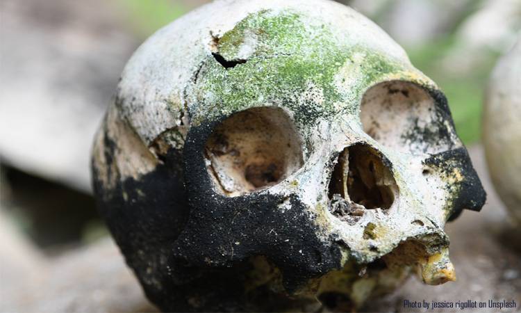 Ancient Teeth Solve the Mystery of Black Death Origin