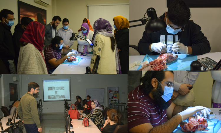 IADSR’s 15th Professional Diploma workshop on ‘Comprehensive Management of Periodontal Disease’ 