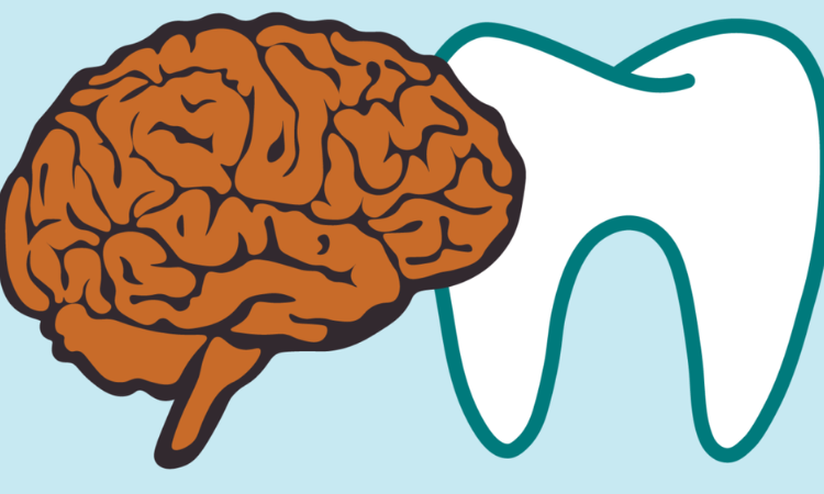 Dental health may impact brain functions, suggests study  