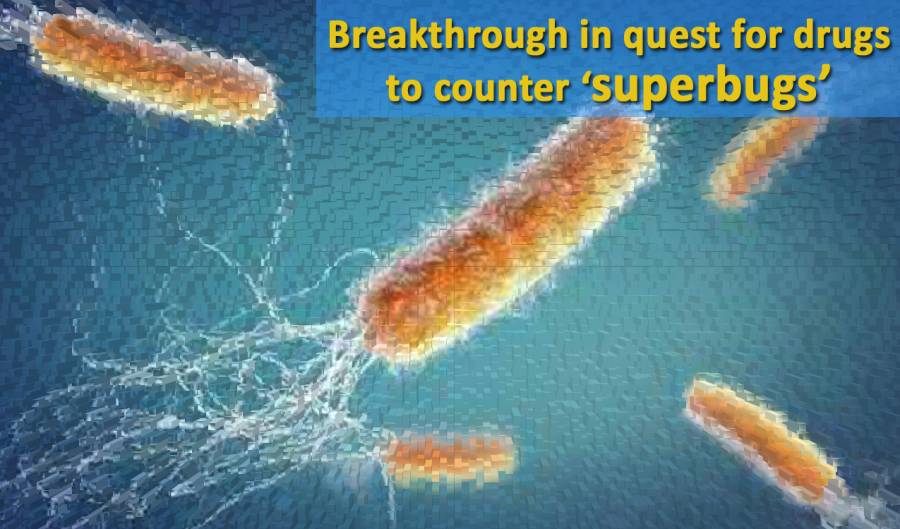 Breakthrough in quest for drugs to counter ‘superbugs’  