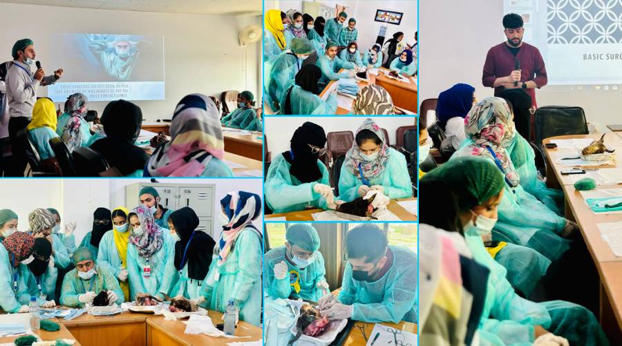 BDMC arranges hands-on workshop on basic dental surgery skills