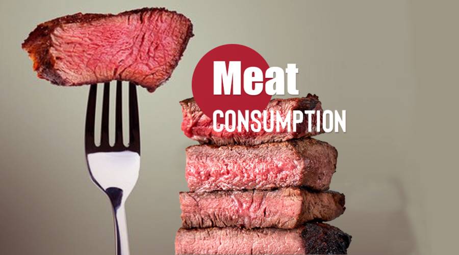 Prof Zaman Shaikh warns of risks in excessive meat consumption