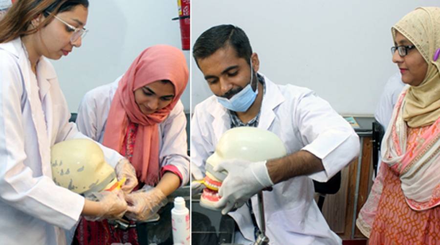 BDC workshop on high-fluoride gel use to prevent dental caries 