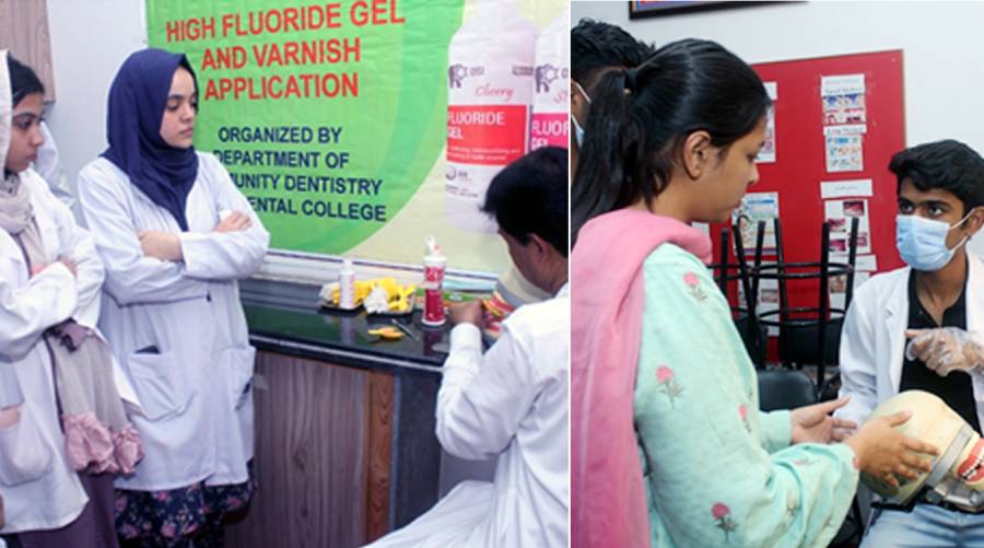 BDC workshop on high-fluoride gel use to prevent dental caries 