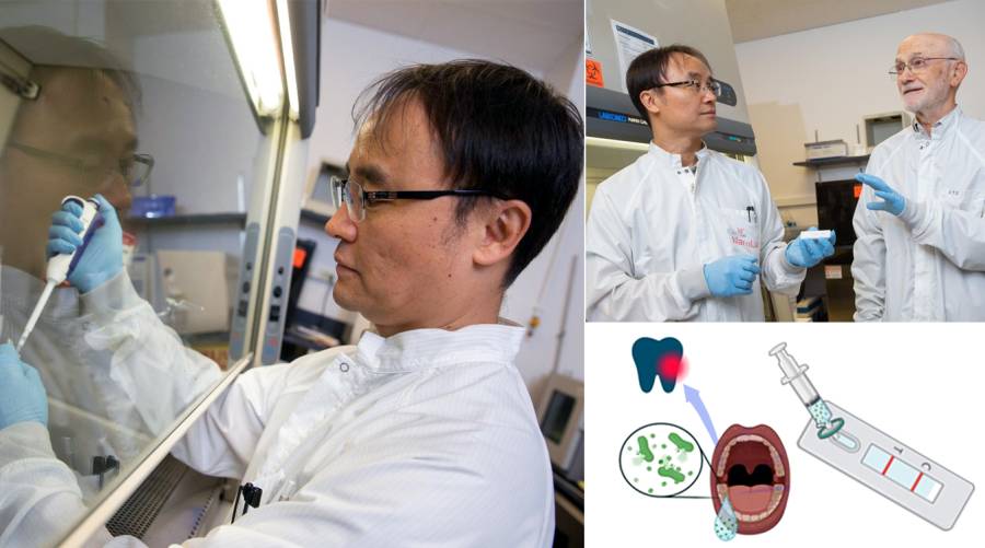 Saliva-based device introduced to warn of tooth decay