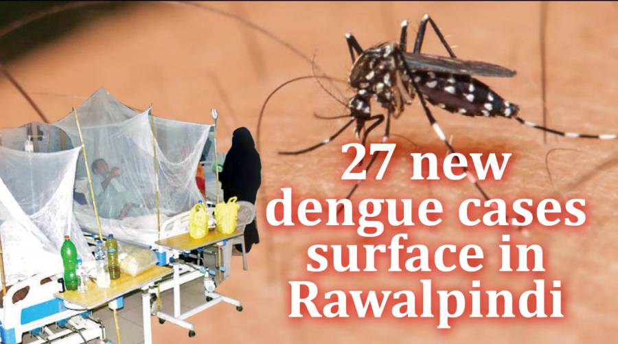 27 new dengue cases surface in Rawalpindi 