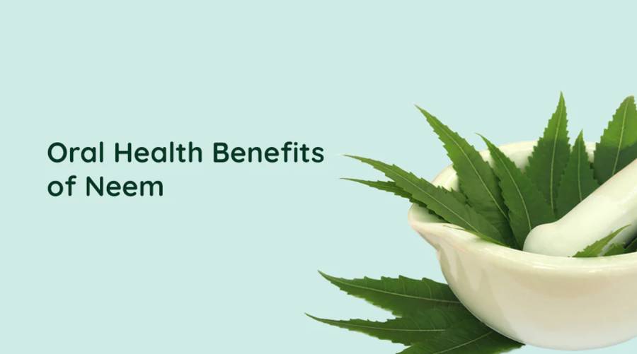 NEEM: Nature's oral health ally