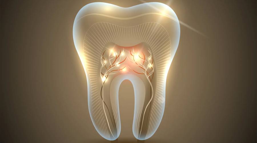 Breakthroughs in tooth regrowth offer hope for the future