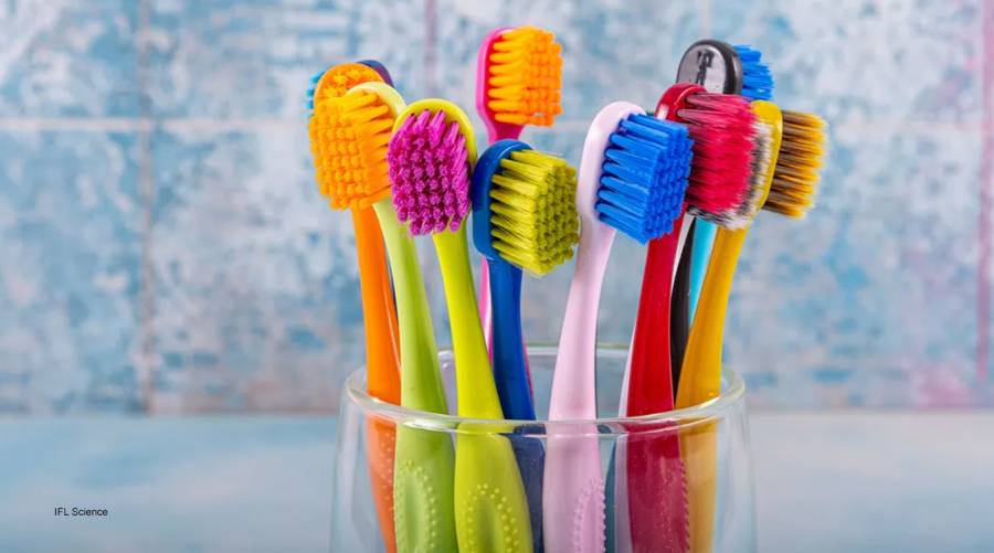 Toothbrush tops showerhead as a surprising virus breeding ground