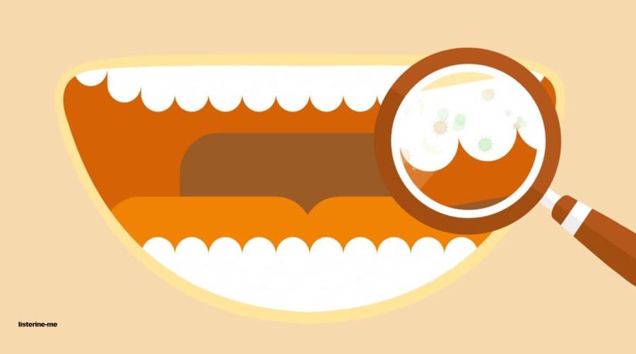 An illustration of beautiful, strong teeth signifying impact of cheese on health of your teeth