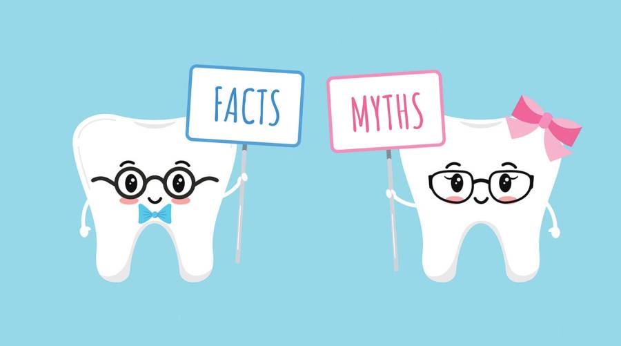 Illustration of two teeth side by side, one labeled \'Facts\' and the other \'Myths,\' highlighting common misconceptions and truths about at-home dental care.